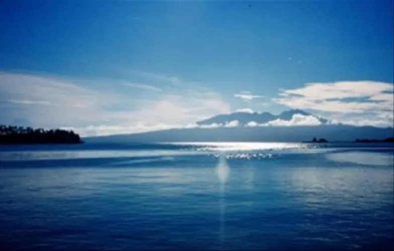 火炸藥廢水的超臨界氧化